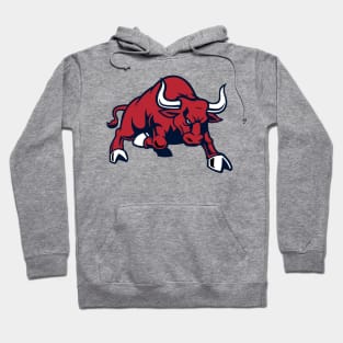 El Toro Watson Hoodie